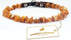 Amber Collar  