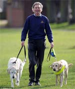 A guide dog for a blind guide dog