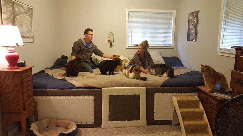 Guy Makes Bed Big Enough For Pets Too