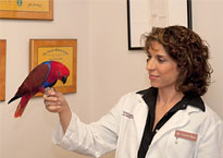 Dr. Laurie Hess with parrot.670