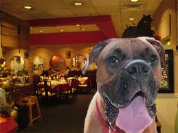 Dining with Fido