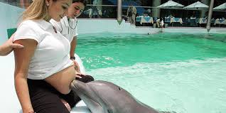 Dolphin Assisted Birth is a thing