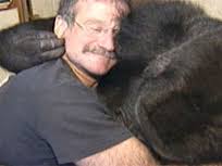 Koko and Robin Williams on Animal Radio®