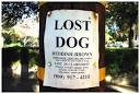 Tips for finding lost pets