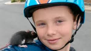 Petco Sued Over Diseased Rat
