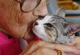 Pets for the Elderly - Hero People