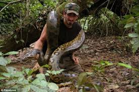 Discovery Channel Host to be eaten by snake