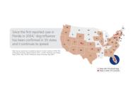 Canine Flu rampant in 33 states