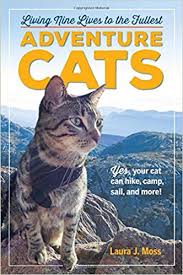 Adventure Cats Book Cover