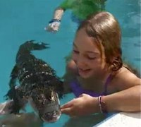 Girl swimming in pool with alligator.671