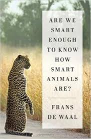 Are We Smart Enough Book Cover
