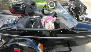 Baby Banks in Sidecar