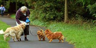 Elderly Woman with Dogs