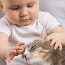Baby playing with cat.661