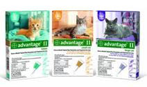 Bayer Advantage II for cats.661
