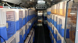 Inside a Rescue Express Bus