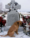 Dog Holds Vigil