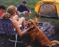 Camping with Fido.657