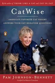 CatWise Book Cover