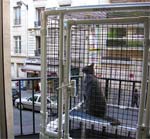 Cats on Deck enclosure on a balcony in France