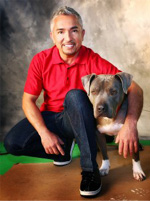 Cesar Millan with his pit bull Junior