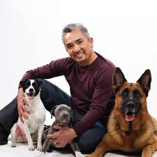 Cesar Millan and dogs