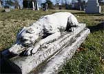 Dog Headstone