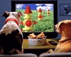 Dogs watching television.639