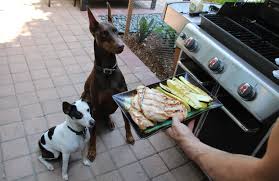 Dogs at a Barbecue 