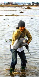 Man holding rescued purpoise