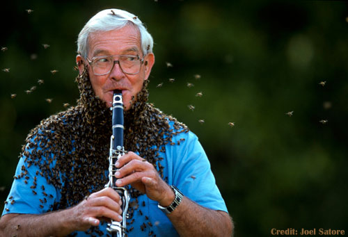 Dr. Norman Gary Covered in Beees Playing Flute