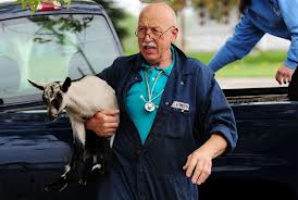 Nat Geo's Incredible Dr. Pol is on Animal Radio