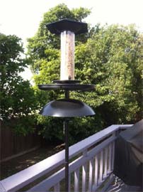 Effort-Less Birdfeeder