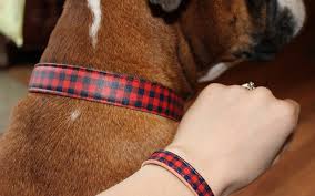 Friendship Dog Collar and Bracelet