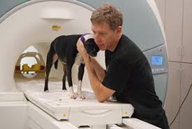 Dr. Gregory Berns with Dog in MRI