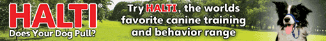 Halti by Company of Animals