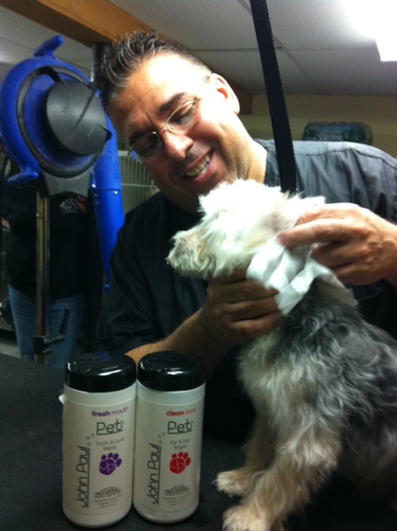 Joey Villani legislates for Groomer Regulation