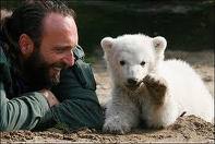 Knut with handler