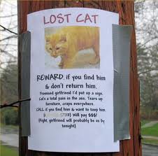 Lost cat flyer.662