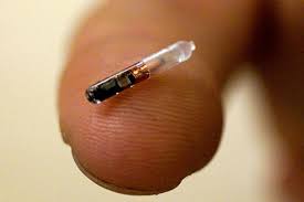 Microchip