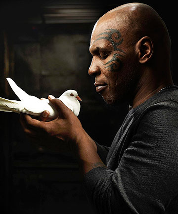 Tyson loves Pigeons