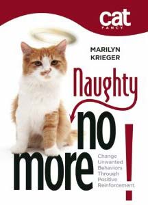 Naughty No More book cover