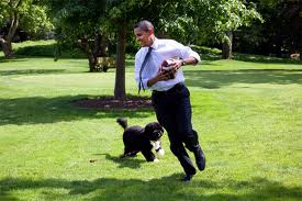 Barack Obama with dog Bo.662