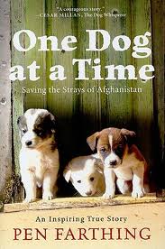 One Dog At A Time book cover.657