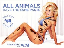 PETA sexy ad.656