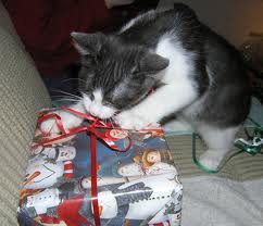 Cat chewing on wrapped Chirstmas present
