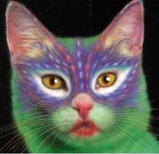 Elaborately paintede cat