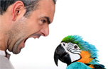 Man Arguing with Parrot