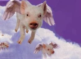 Flying pigs with wings.660