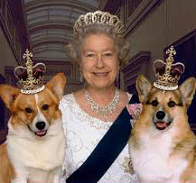 Queen Elizabeth with Corgis.653